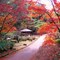みやま公園　秋の遊歩道