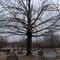 Clear Creek Cemetery