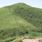 礼文岳登山道