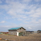 礼文島