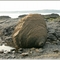 Breast Rock - おっぱい岩 -