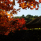神埼町 / 九年庵 (Kunenan) - 紅葉
