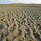 Nakatajima dune 中田島砂丘