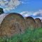 Hay Rolled at Appleton farm