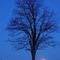 full moon set! :) 4/18/11 ipswich MA