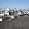 Yoshida Port 吉田港