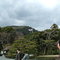 DSCF0038