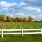 Lawn Job