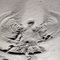 Snow Angel