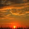 羽曳野の夕日