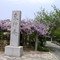 東行庵　togyoan 200605