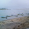 Abukuma River 阿武隈川河口