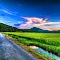 亘理町田園風景 Countryside Scenery