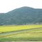 Tsuruoka city　山形県鶴岡市