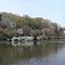 Panoramic View in Hitachi Garden