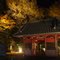 Glowing Foliage at Komatsu Shrine