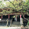 那古寺