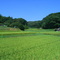 Fields and mountains of Uchibou