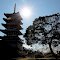 久里浜霊園 五重塔