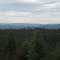 Treetops