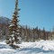 Winter Sports in our Backyard!