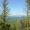 Peterson Creek trail 01