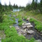 Stream between Picnic Lakes - Jewel Basin