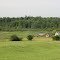 Fields, Forest, Farm, and a Marsh Out Back ...