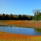 Downeast Coastal Conservancy - Tide Mill Creek Conservation Land