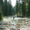Creek Below Ousel Falls