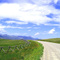 The Road to Gibson Reservoir