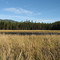 Dry Lake