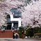 University of Suwon - Dep.Law