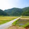 Rice paddies on Tokashiki 渡嘉敷水田