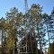 Cambridge Lookout Tower
