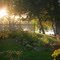 Sunset in my Garden