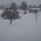 Spring Snow 4-11-2008