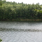Pemigwasset River Shore