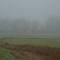 Foggy Morning Marsh