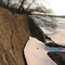 Snowy Shore
