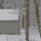 Shed In The Snow