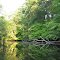 Rancocas Breek North Branch