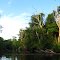 Rancocas Creek Kayaking
