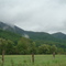 Road side view