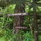 Colbert Ridge Trail/Black Mtn Crest Trail JCT