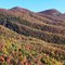 Pisgah national forest