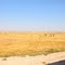desert