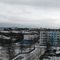 Ноглики