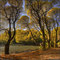 В осеннем парке - In autumn park