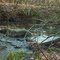 Babbling Brook - which way is the water flowing?